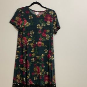 LulaRoe Carly dress size S